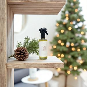 Cinnamon, Orange & Spices Room Spray